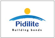 Pidilite Building Bonds Logo